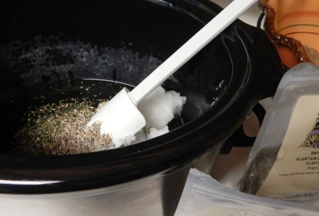 bug bite stick oil infusing with dried herbs in the crock pot