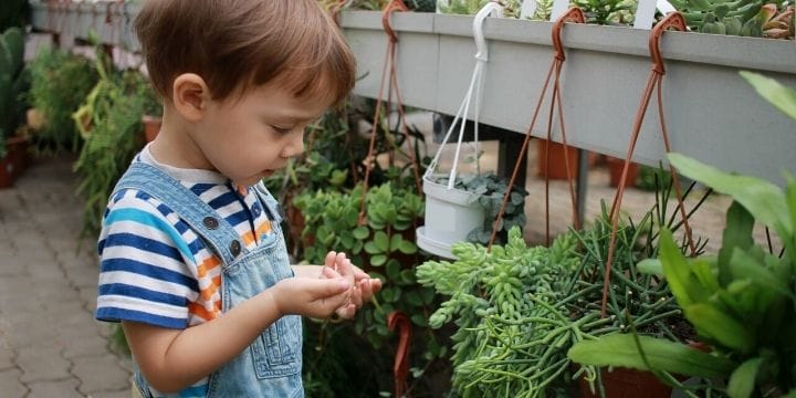 child holding a bug in the garden