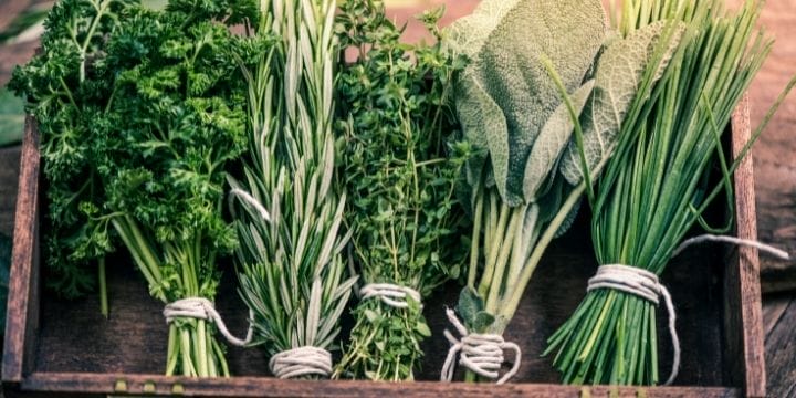 tied herb bungles from the herb garden on a tray on the table