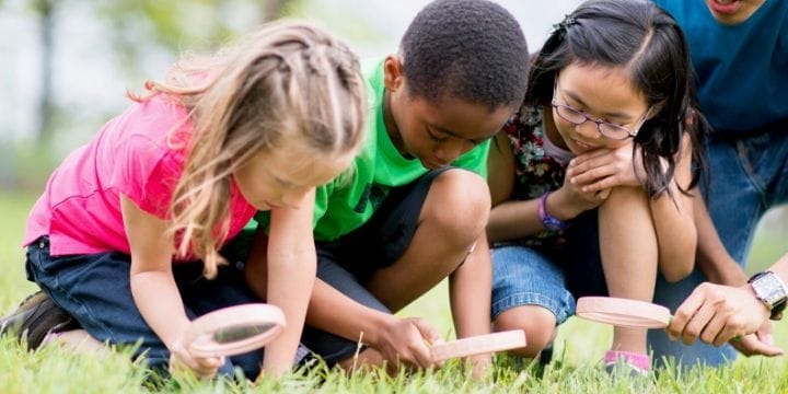 kids looking for bug and habits in the grass with magnifying glasses