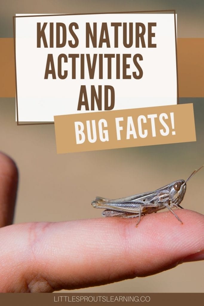 child with a tiny grasshopper on their finger learning bug facts
