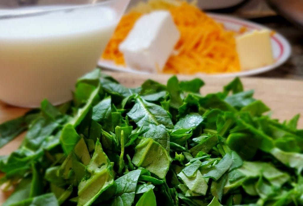 ingredients for rotel dip with real cheese on a board and plate with a cup of milk beside it