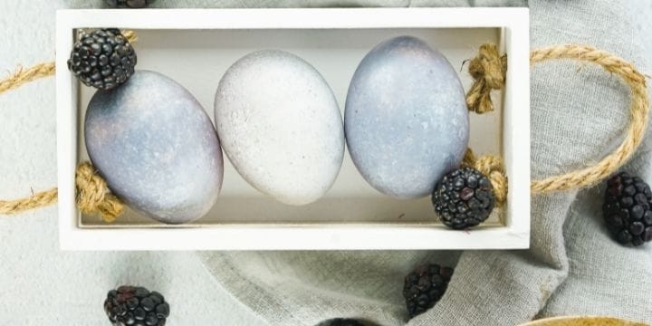 colored easter eggs dyed with blackberries in a wooden box with rope handles and blackberries around the box