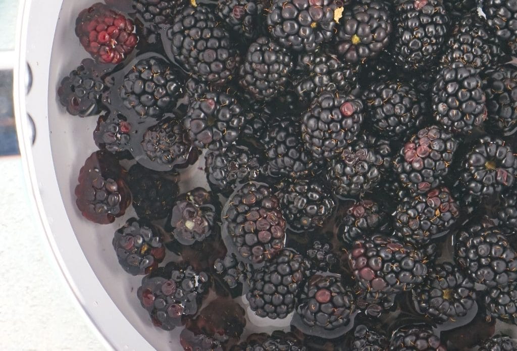 big pan full of blackberries