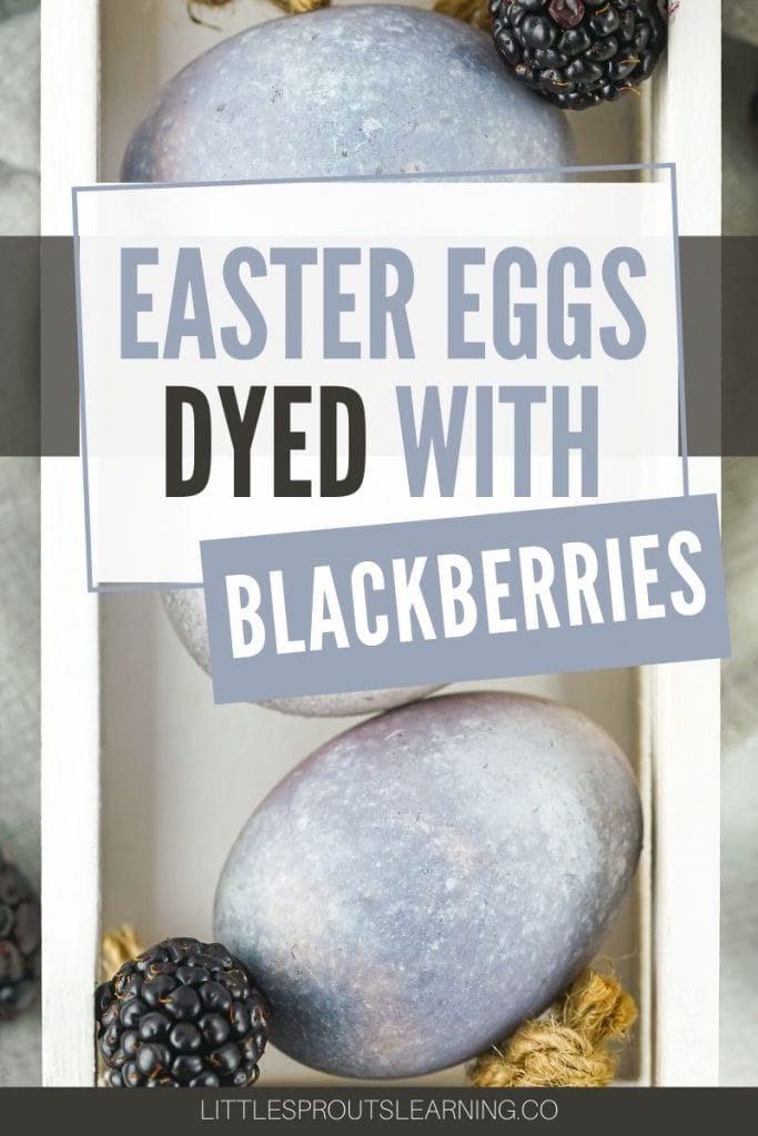 Easter eggs dyed with blackberries lined up in a wooden box with rope handles