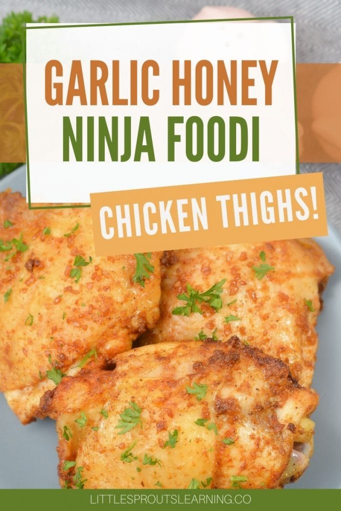 Crispy, sweet juicy ninja foodi air fryer chicken thighs on a plate garnished with parsley