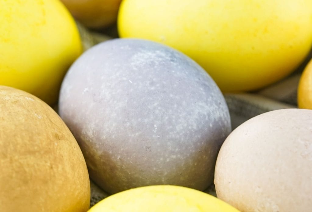 multi colored easter eggs on a towel