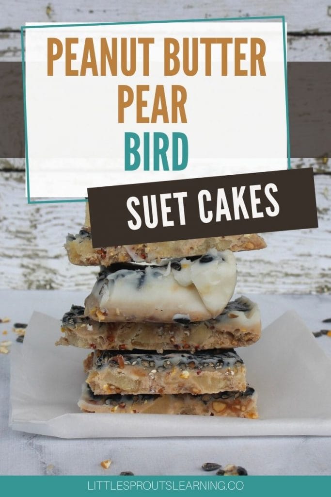 peanut butter pear bird suet cakes cut into squares and stacked in a stack on parchment paper on a board