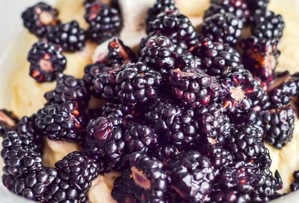 blackberries on top of muffin batter in a bowl