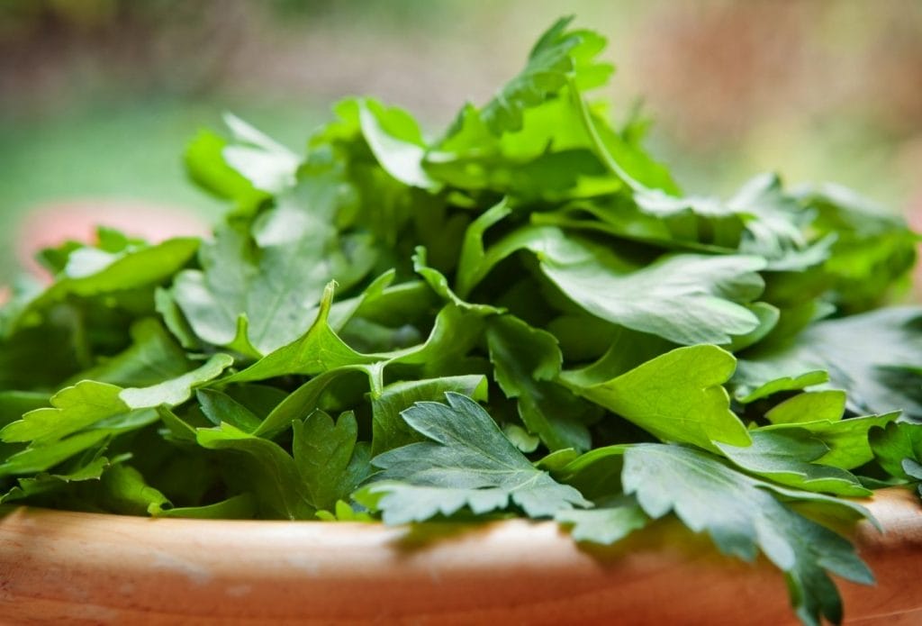 cut parsley in a bowl