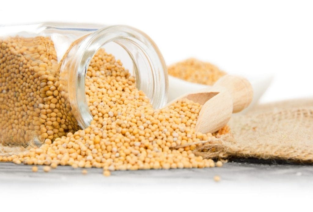 mustard seeds spilling out of a jar and scoop onto a table