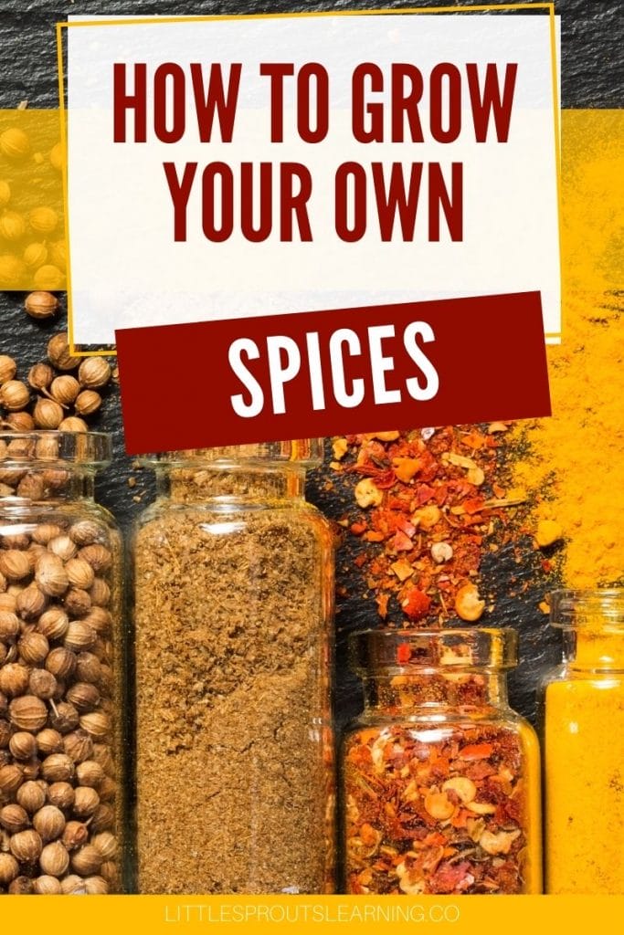 spice jars filled with home grown spices spilled out on a board