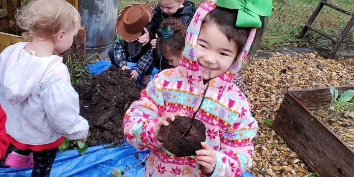 child showing a sweet potato she just dug out of the ground