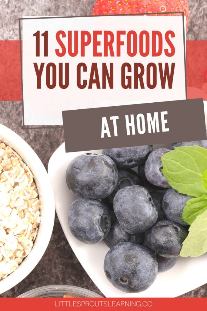 blueberries and oatmeal on a counter with herbs