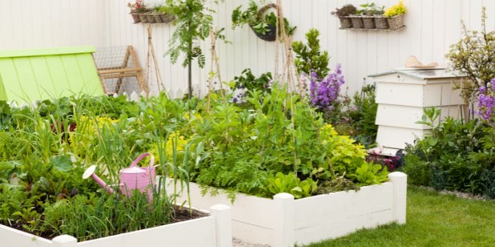 survival garden with fruits, vegetables, herbs, chickens, and bees