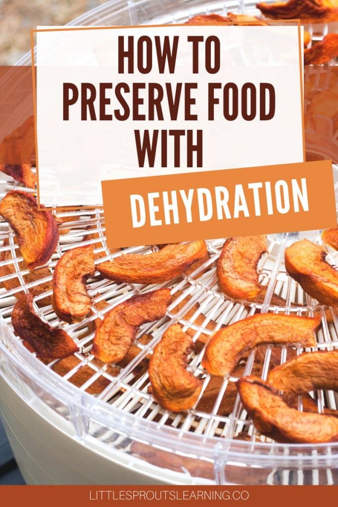 peach slices in a dehydrator