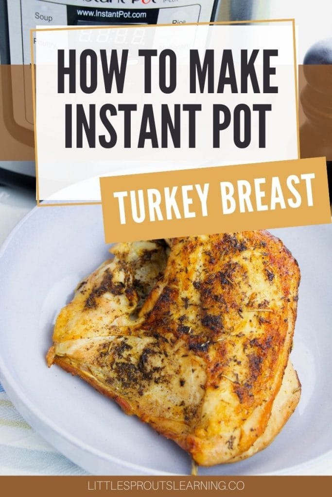 brown juicy turkey breast in front of an instant pot