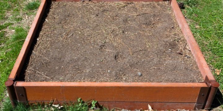 small raised bed garden with soil