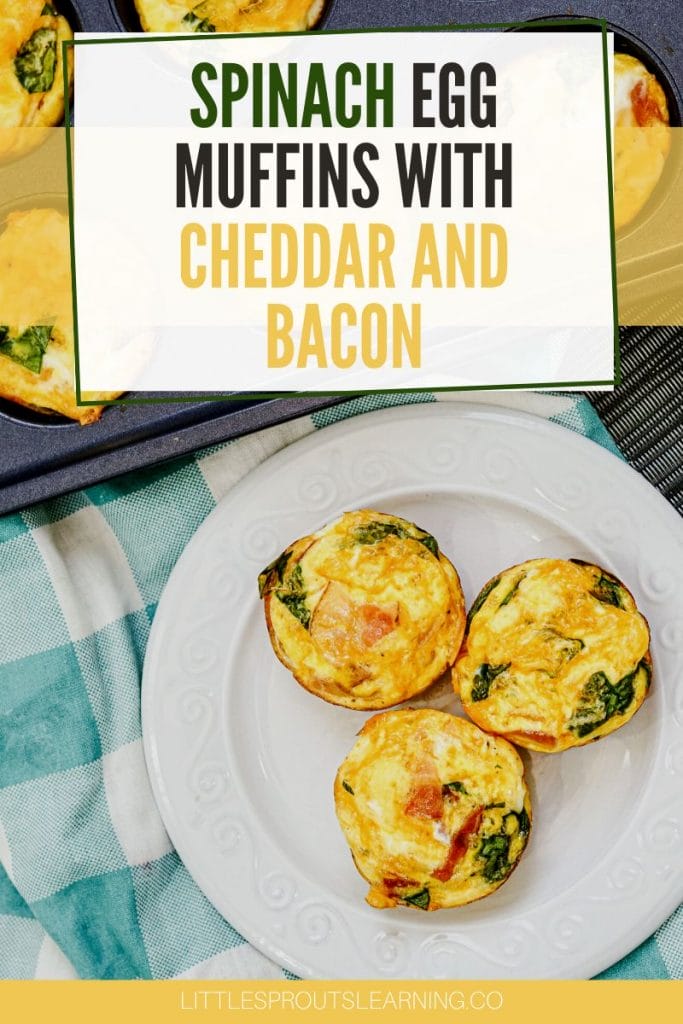 spinach and egg muffins with bacon and cheddar on a plate next to a muffin tin full of more