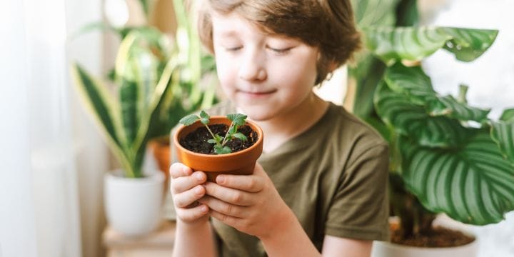 a peaceful child looking at a plant