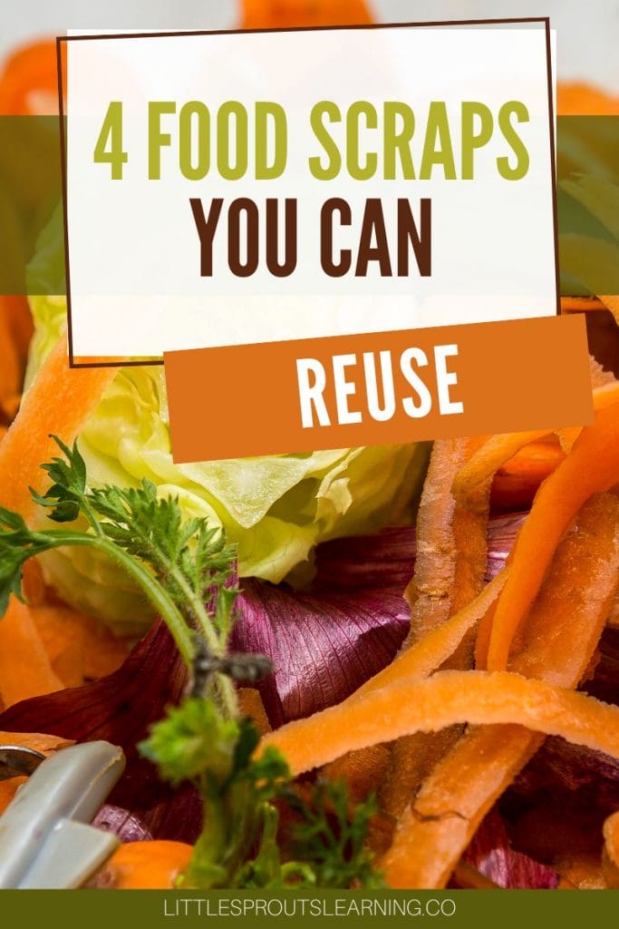 pile of food scraps
