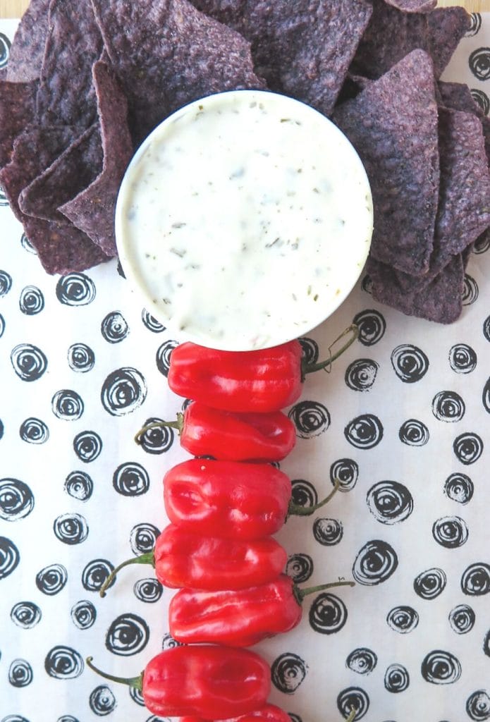 peppers lined up as a spine with chip hair and dip head