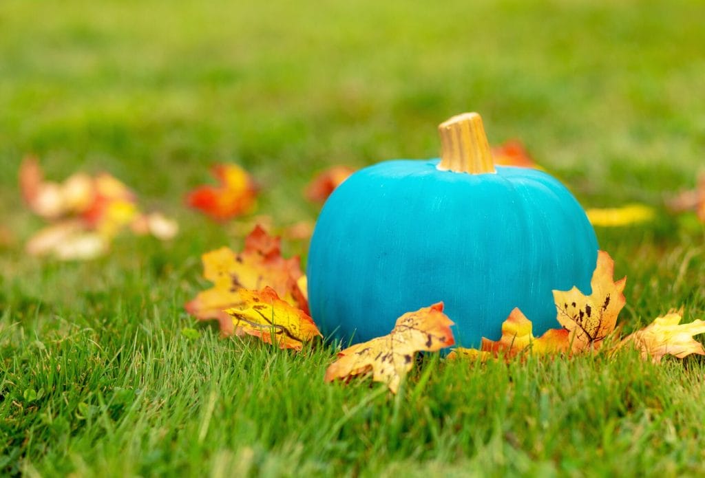 teal pumpkin on grass