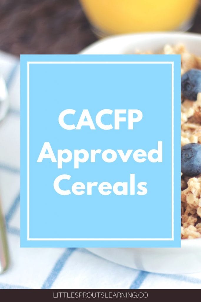 cereal in a bowl topped with blueberries-CACFP Approved Cereals for Daycare