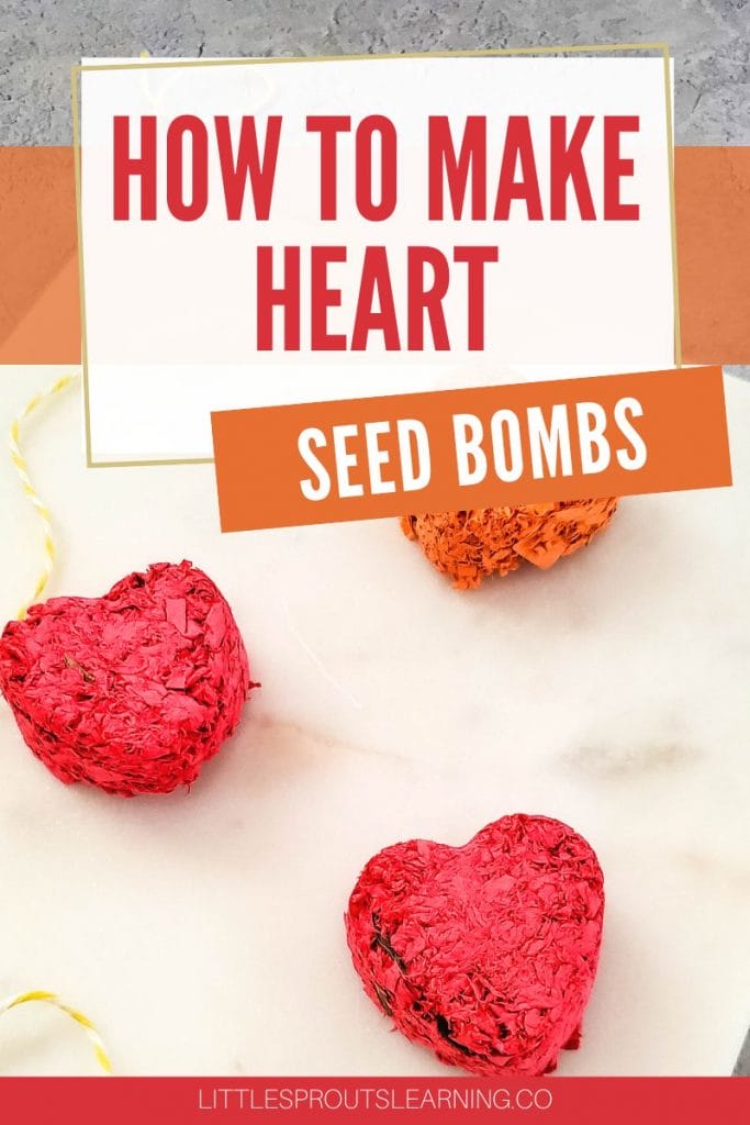 heart seed bombs on a plate-how to make heart seed bombs