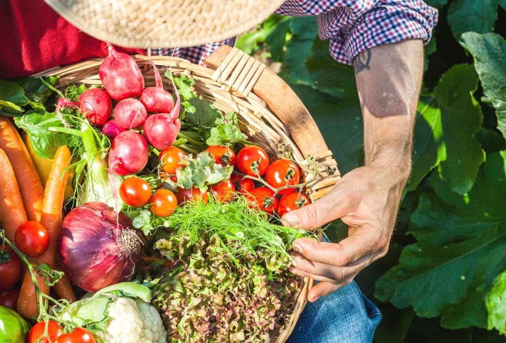 a man with a basket of survival vegetables from the garden