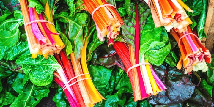 bundles of swiss chard in a pile
