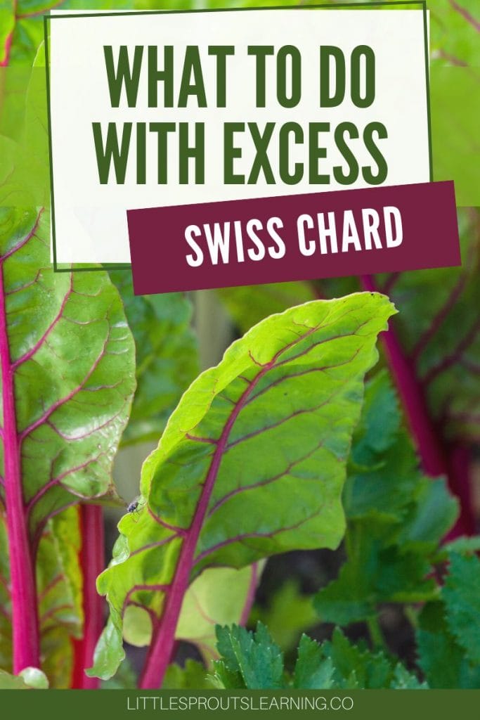 what to do with excess swiss chard from the garden