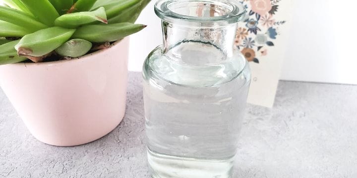 Homemade plant food in a jar on the table
