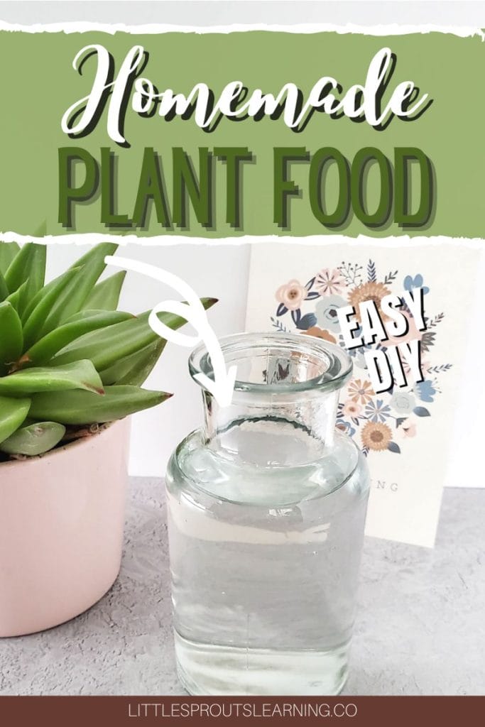how to make homemade plant food for houseplants in a jar on a table