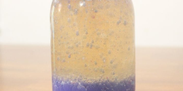 a diy lava lamp science project for kids