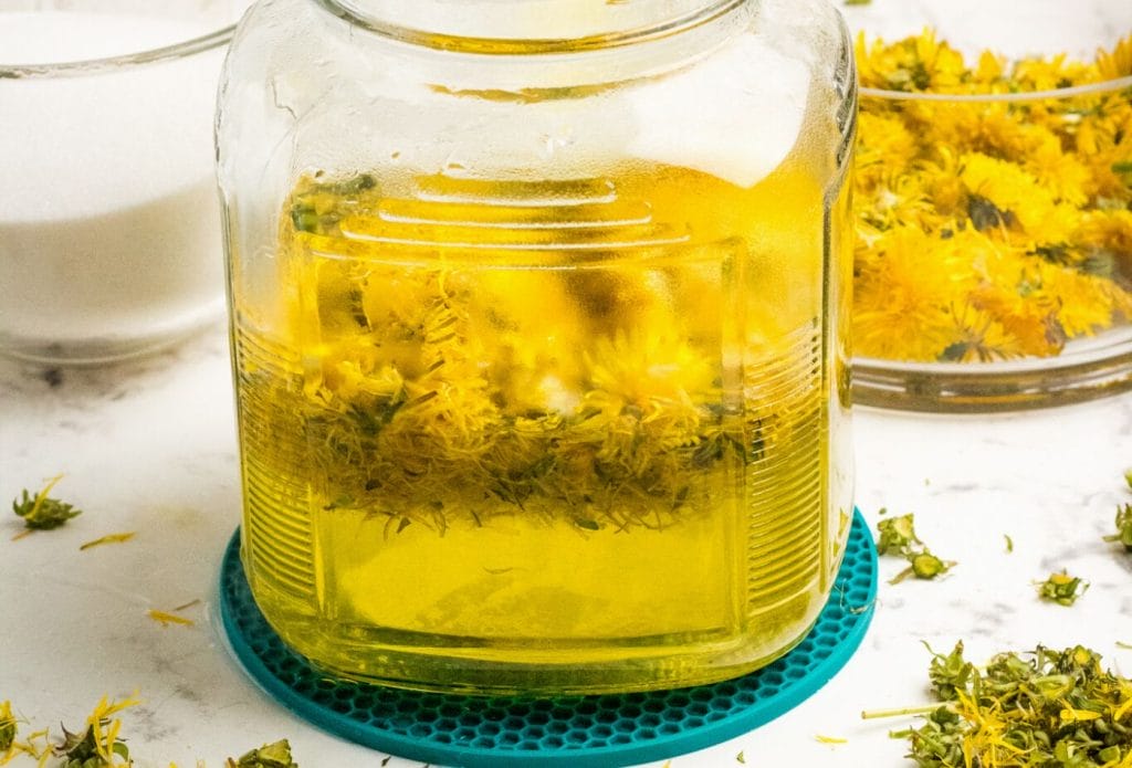 steeping dandelion flowers in hot water