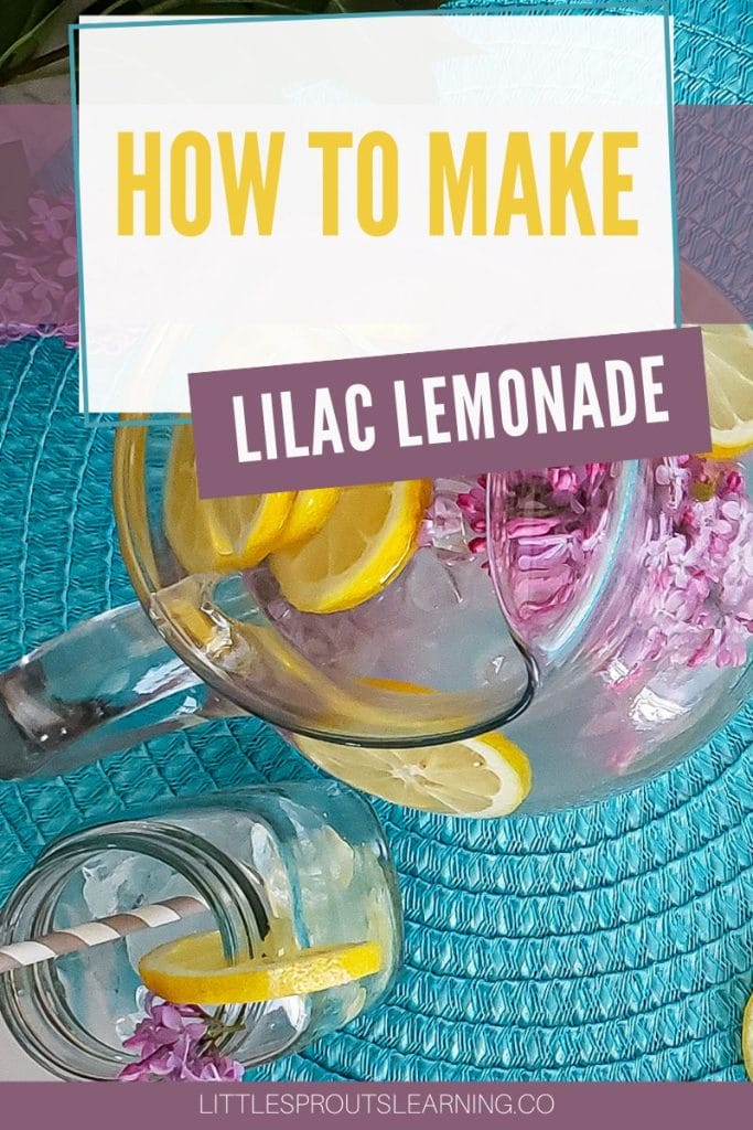 How to Make Lilac Lemonade