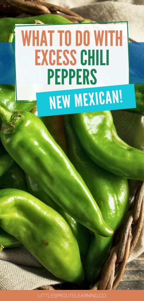 what to do with excess chili peppers, new mexican