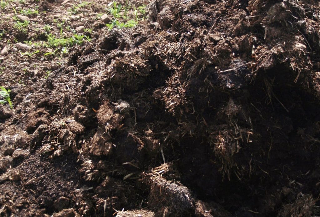 pile of composted manure