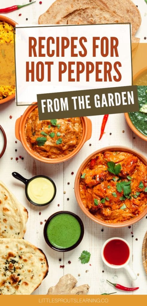 recipes for hot peppers from the garden