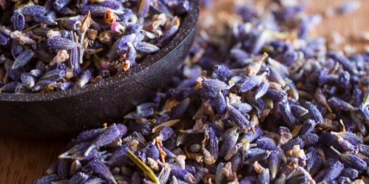 culinary lavender buds in a bowl