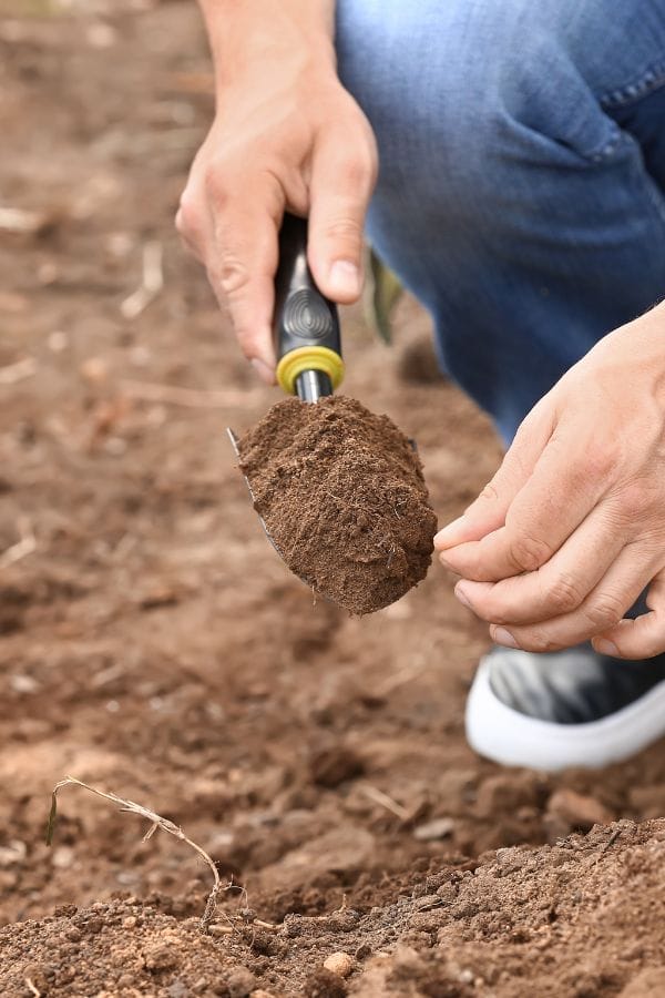 a scoop of garden soil