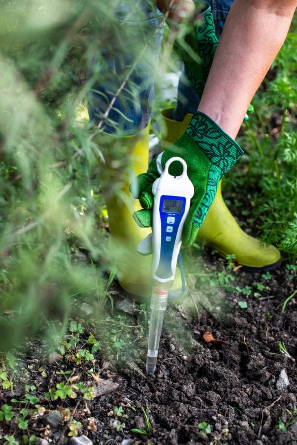 a soil meter poked into the soil