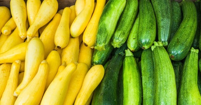piles of excess summer squash, yellow squash and zucchini