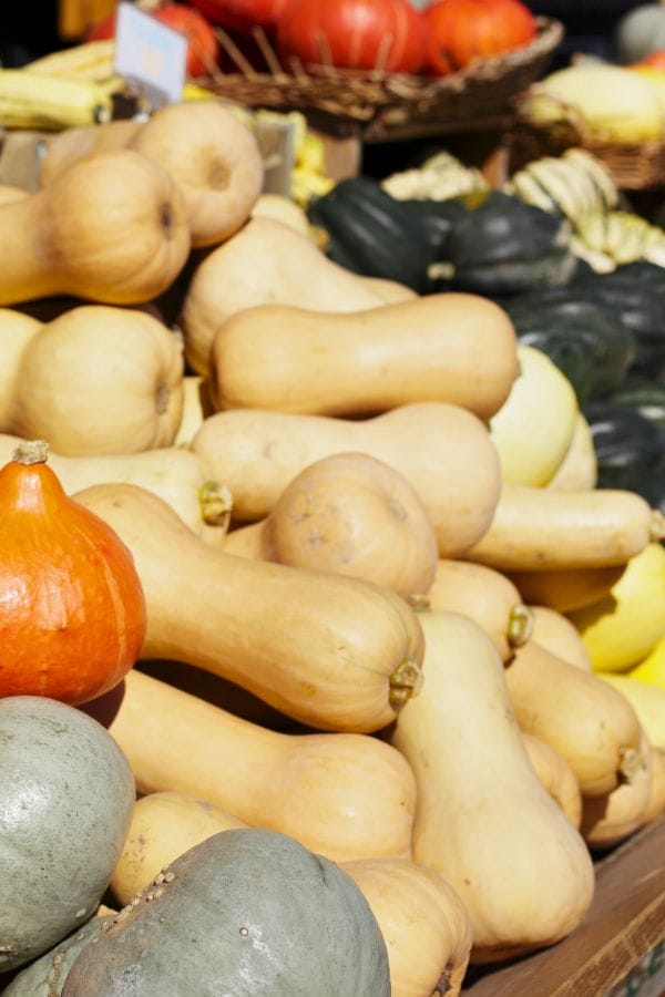 piles of excess winter squash like butternut and acorn squash