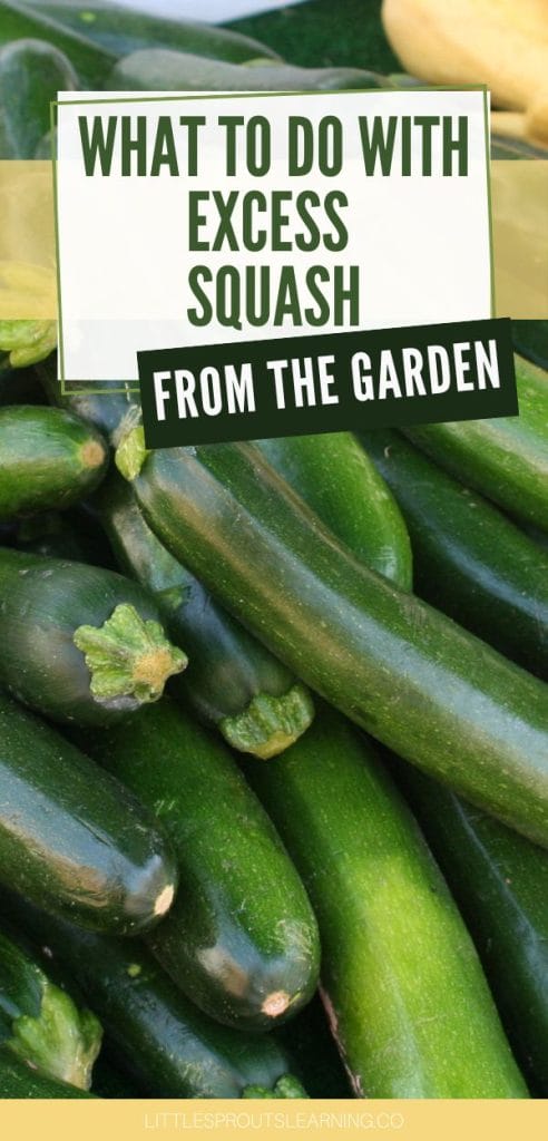What to do with Excess Squash from the Garden