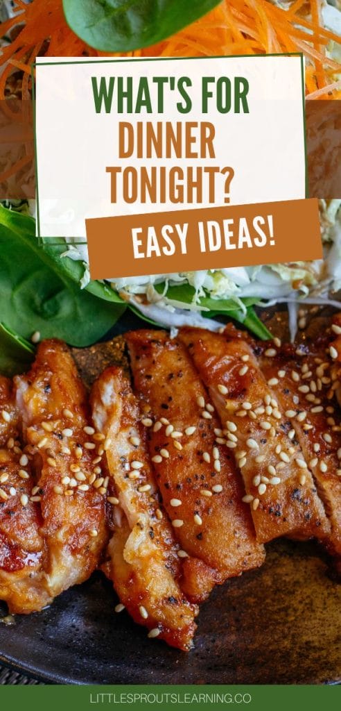 what's for dinner tonight? Easy ideas!