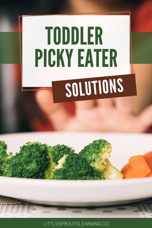 Toddler Picky Eater Solutions