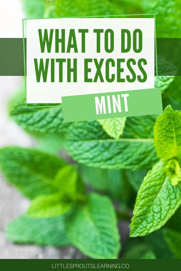 What to do with Excess Mint