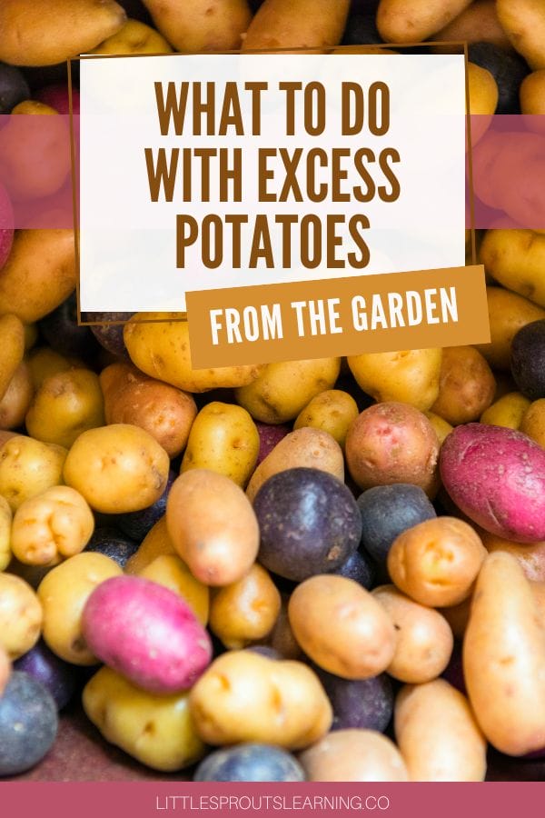 what to do with excess potatoes from the garden